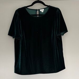 J Crew Women’s Velour Top